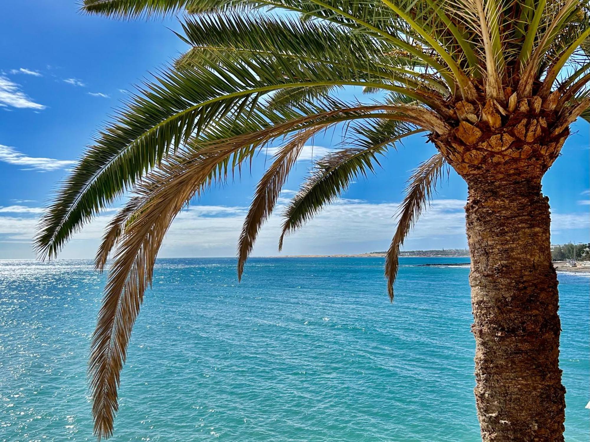 Sobre El Mar Con Vistas A Las Dunas De Maspalomas San Agustín Екстериор снимка